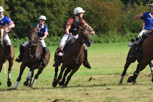 Unveiling Polocrosse: A Thrilling Fusion of Equestrian Skill and Team Spirit